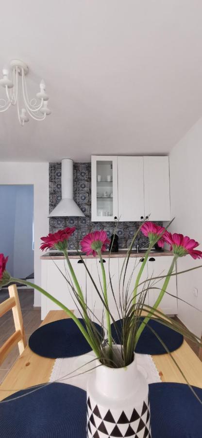 ורבניק Vacation Home Kovachnica מראה חיצוני תמונה